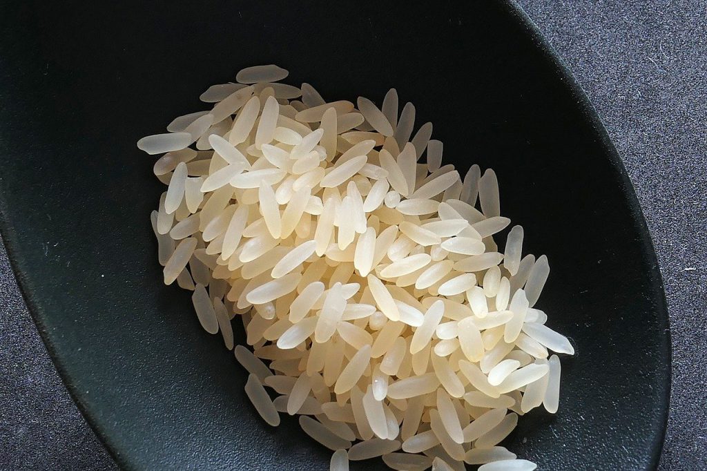 farinha de arroz é low carb